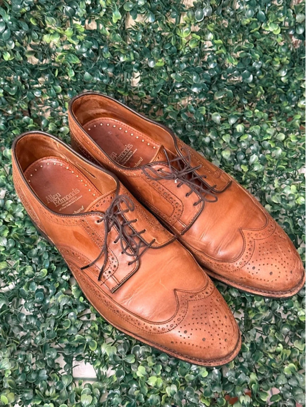 Allen Edmonds Lombard Retired Collection Brown Leather Wingtip size 10